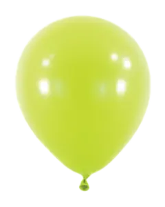 0024 kiwi
